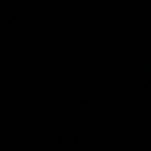 Meet your Posher, Carter